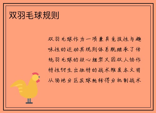 双羽毛球规则