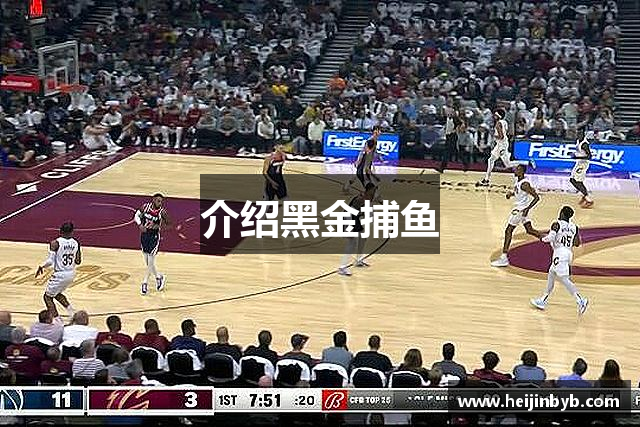 介绍黑金捕鱼