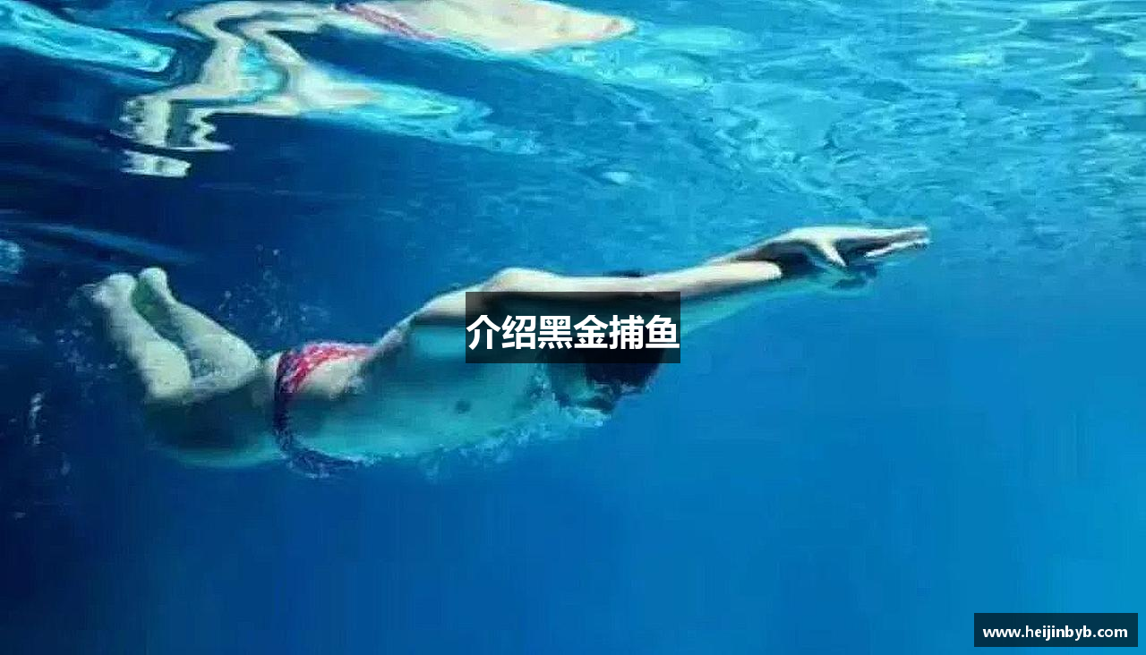 介绍黑金捕鱼
